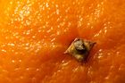 Mandarine