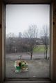 Ob die Stiefm&uuml;tterchen drau&szlig;en auf der Fensterbank ein Kunstwerk waren?