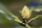Und es ist immer noch Fr&uuml;hling ...