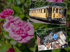 Im ganzen Eisen auch ein paar Bl&uuml;mchen