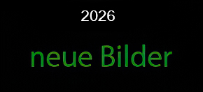 2026